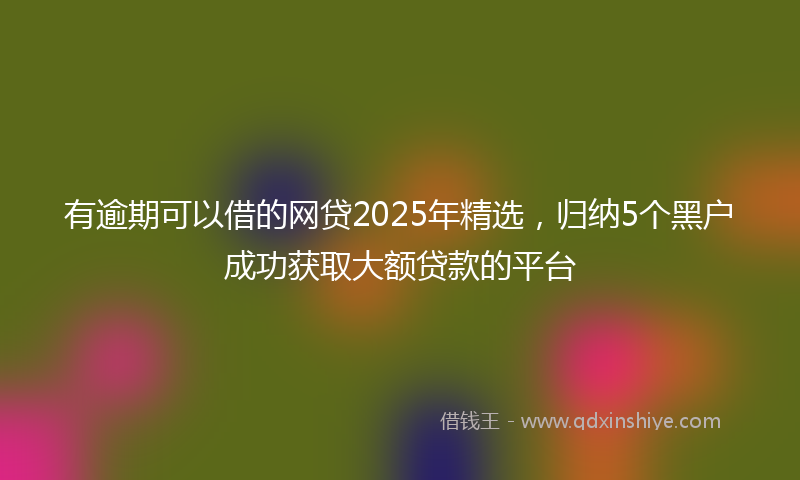 有逾期可以借的网贷2025年精选，归纳5个黑户成功获取大额贷款的平台