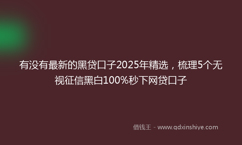 有没有最新的黑贷口子2025年精选，梳理5个无视征信黑白100%秒下网贷口子