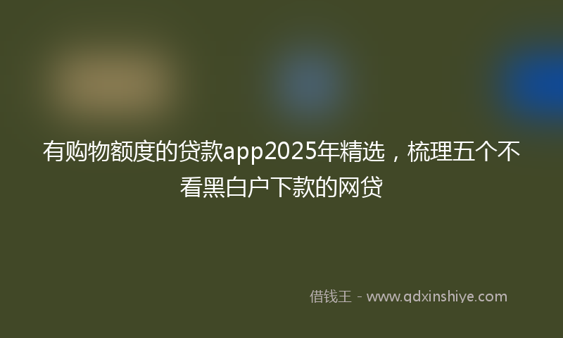 有购物额度的贷款app2025年精选，梳理五个不看黑白户下款的网贷