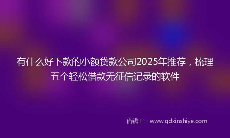 有什么好下款的小额贷款公司2025年推荐，梳理五个轻松借款无征信记录的软件