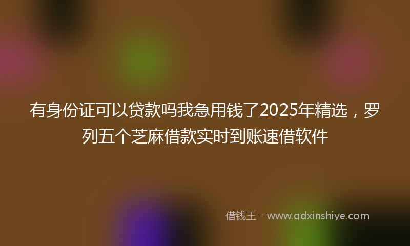 有身份证可以贷款吗我急用钱了2025年精选，罗列五个芝麻借款实时到账速借软件