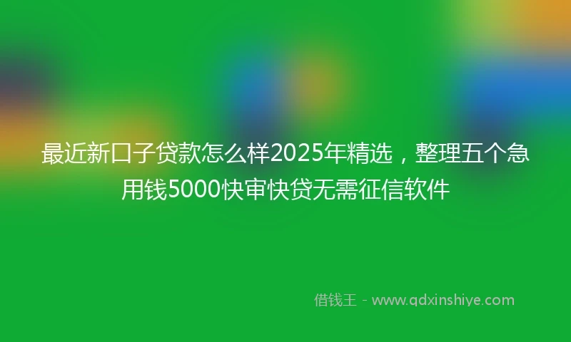 最近新口子贷款怎么样2025年精选，整理五个急用钱5000快审快贷无需征信软件