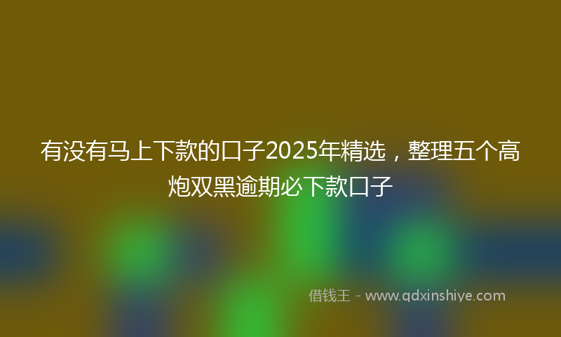 有没有马上下款的口子2025年精选，整理五个高炮双黑逾期必下款口子