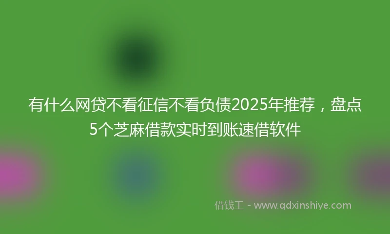 有什么网贷不看征信不看负债2025年推荐，盘点5个芝麻借款实时到账速借软件