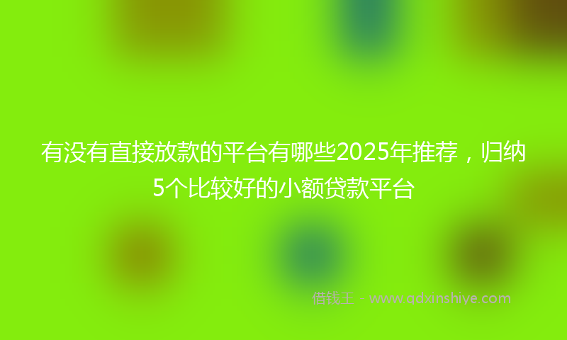 有没有直接放款的平台有哪些2025年推荐，归纳5个比较好的小额贷款平台