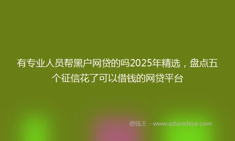 有专业人员帮黑户网贷的吗2025年精选，盘点五个征信花了可以借钱的网贷平台