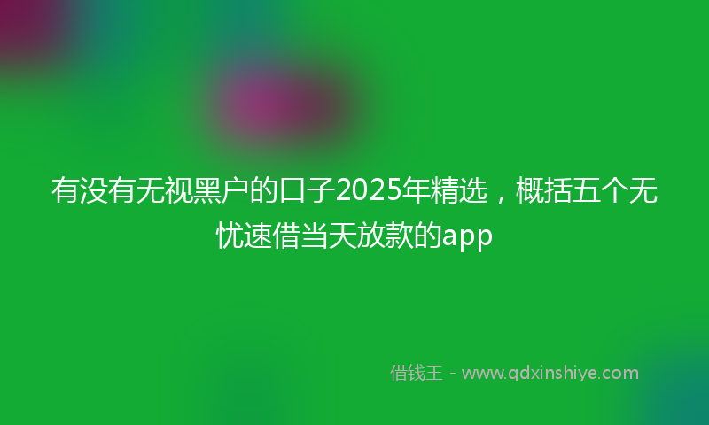 有没有无视黑户的口子2025年精选，概括五个无忧速借当天放款的app