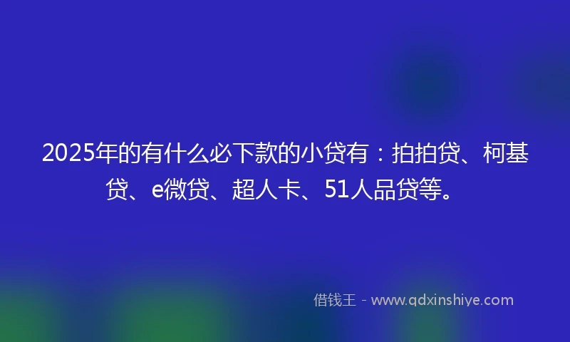 2025年的有什么必下款的小贷有：拍拍贷、柯基贷、e微贷、超人卡、51人品贷等。