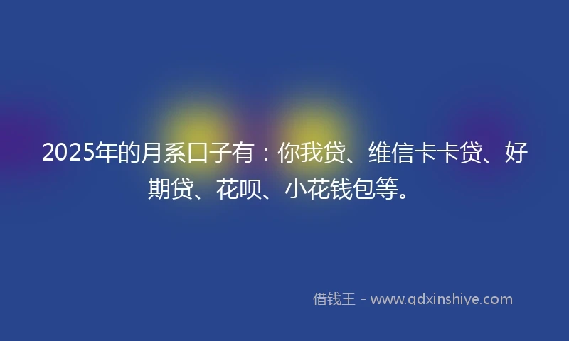 2025年的月系口子有：你我贷、维信卡卡贷、好期贷、花呗、小花钱包等。
