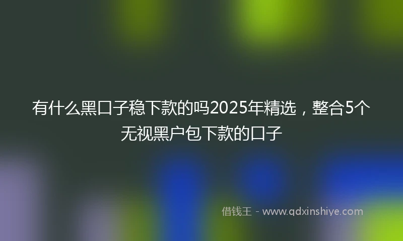 有什么黑口子稳下款的吗2025年精选，整合5个无视黑户包下款的口子