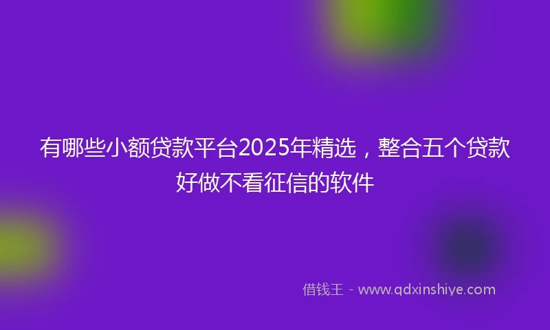 有哪些小额贷款平台2025年精选，整合五个贷款好做不看征信的软件