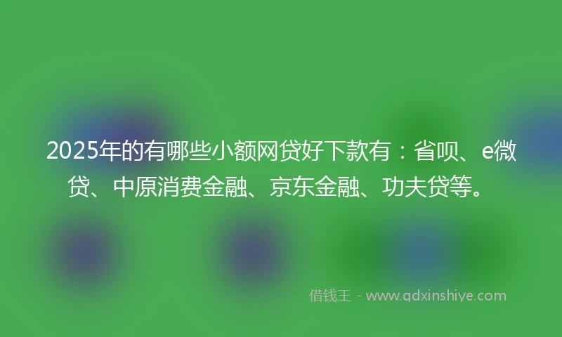2025年的有哪些小额网贷好下款有：省呗、e微贷、中原消费金融、京东金融、功夫贷等。