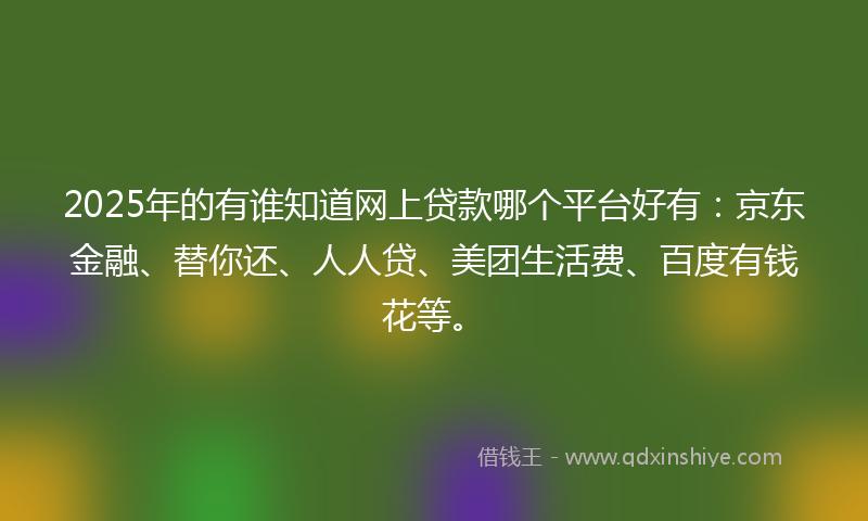 2025年的有谁知道网上贷款哪个平台好有：京东金融、替你还、人人贷、美团生活费、百度有钱花等。