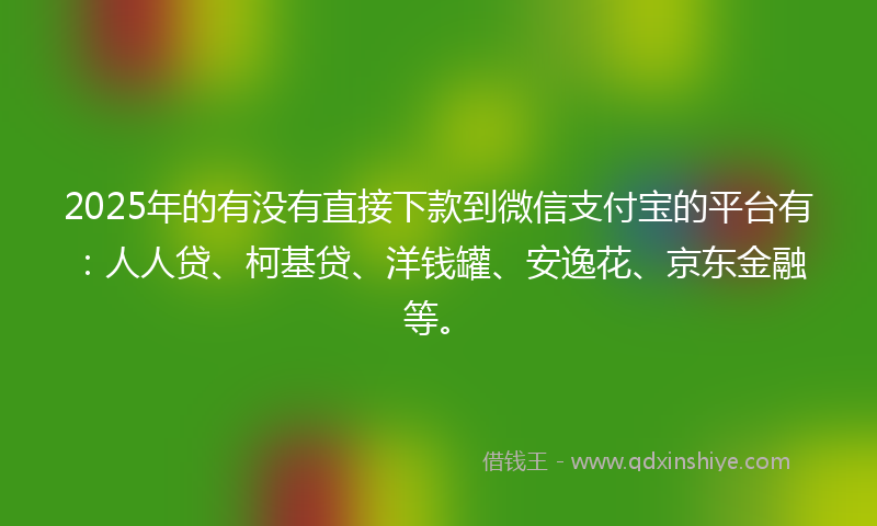 2025年的有没有直接下款到微信支付宝的平台有：人人贷、柯基贷、洋钱罐、安逸花、京东金融等。