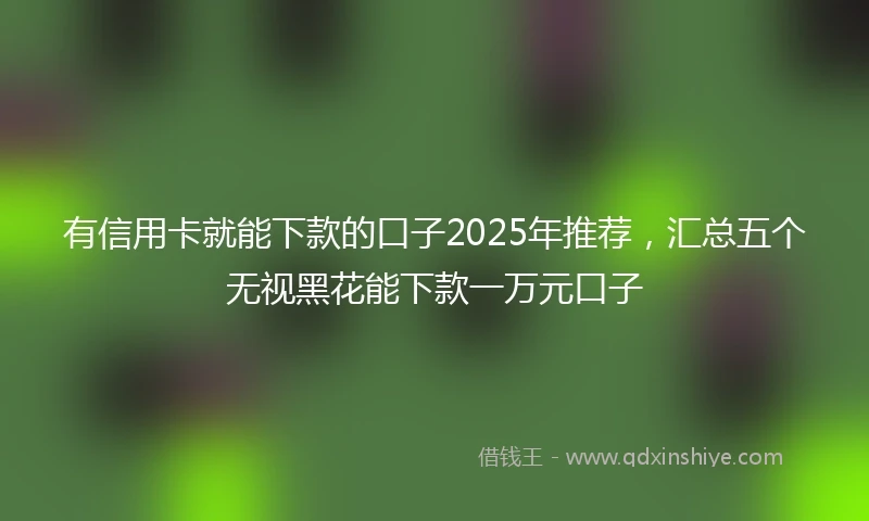 有信用卡就能下款的口子2025年推荐，汇总五个无视黑花能下款一万元口子
