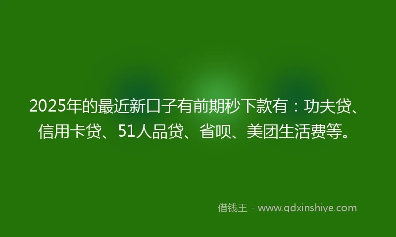 2025年的最近新口子有前期秒下款有:功夫贷、信用卡贷、51人品贷、省呗、美团生活费等。