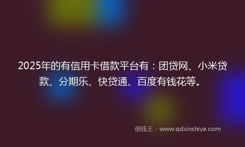 2025年的有信用卡借款平台有：团贷网、小米贷款、分期乐、快贷通、百度有钱花等。