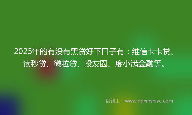 2025年的有没有黑贷好下口子有：维信卡卡贷、读秒贷、微粒贷、投友圈、度小满金融等。