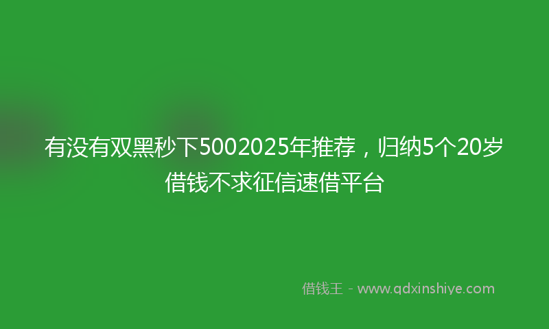 有没有双黑秒下5002025年推荐，归纳5个20岁借钱不求征信速借平台