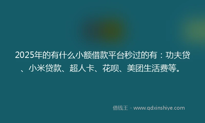 2025年的有什么小额借款平台秒过的有：功夫贷、小米贷款、超人卡、花呗、美团生活费等。