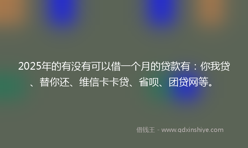 2025年的有没有可以借一个月的贷款有：你我贷、替你还、维信卡卡贷、省呗、团贷网等。