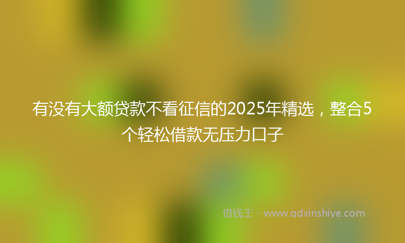 有没有大额贷款不看征信的2025年精选，整合5个轻松借款无压力口子