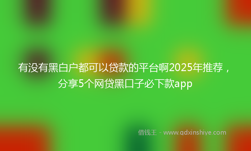 有没有黑白户都可以贷款的平台啊2025年推荐，分享5个网贷黑口子必下款app