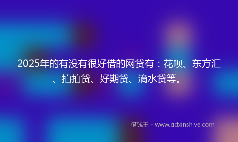 2025年的有没有很好借的网贷有：花呗、东方汇、拍拍贷、好期贷、滴水贷等。