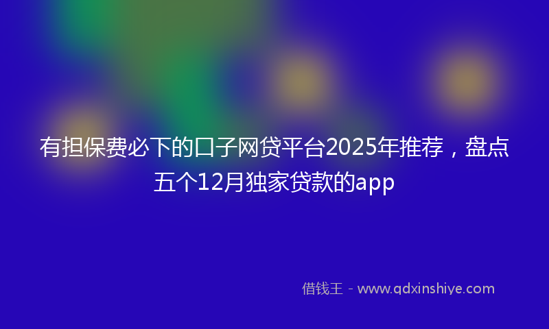 有担保费必下的口子网贷平台2025年推荐，盘点五个12月独家贷款的app