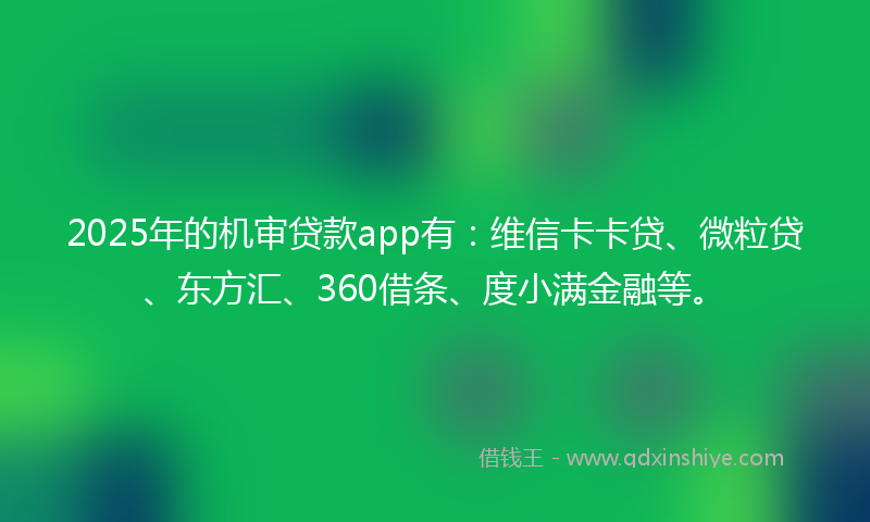 2025年的机审贷款app有：维信卡卡贷、微粒贷、东方汇、360借条、度小满金融等。
