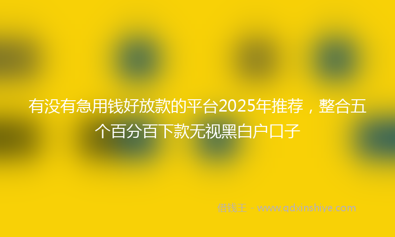 有没有急用钱好放款的平台2025年推荐，整合五个百分百下款无视黑白户口子
