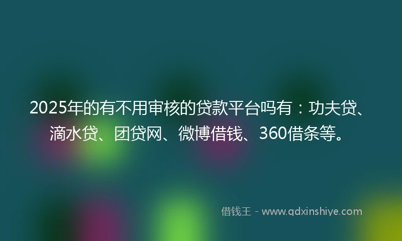 2025年的有不用审核的贷款平台吗有：功夫贷、滴水贷、团贷网、微博借钱、360借条等。
