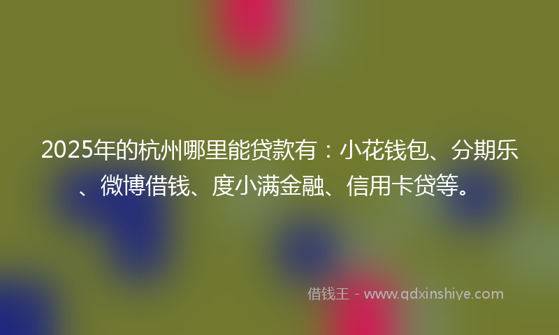 2025年的杭州哪里能贷款有：小花钱包、分期乐、微博借钱、度小满金融、信用卡贷等。