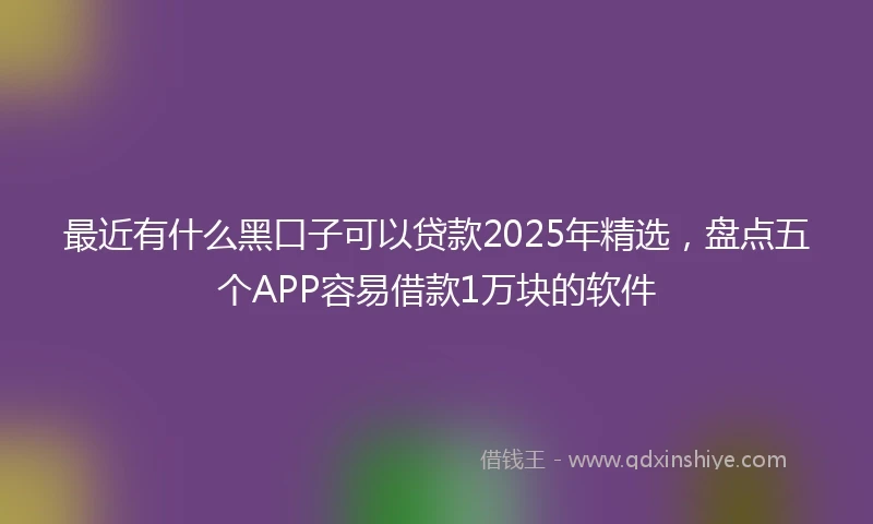 最近有什么黑口子可以贷款2025年精选,盘点五个APP容易借款1万块的软件