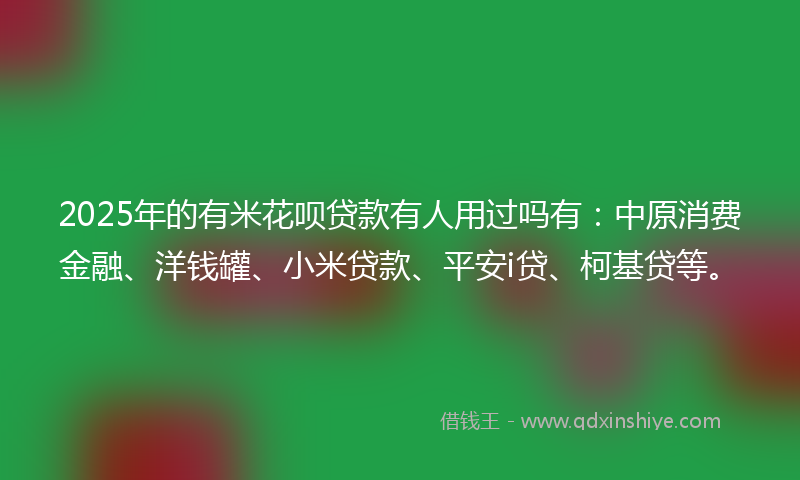 2025年的有米花呗贷款有人用过吗有：中原消费金融、洋钱罐、小米贷款、平安i贷、柯基贷等。