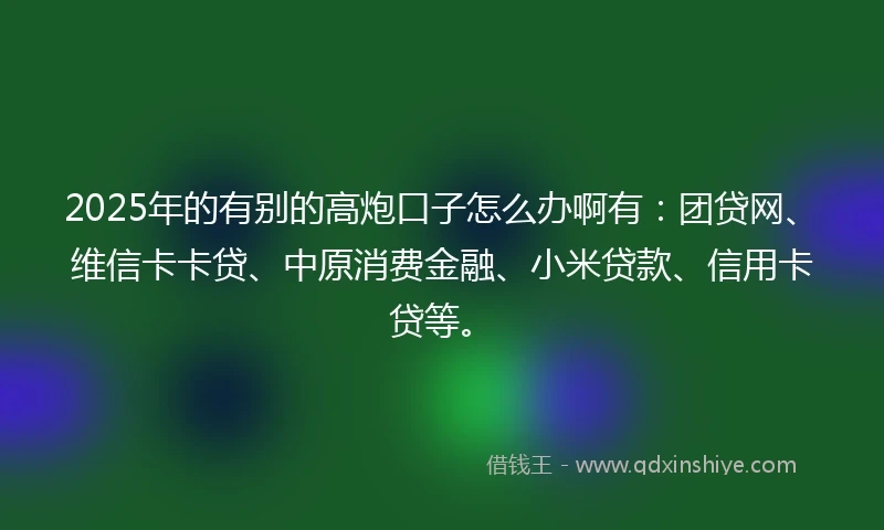 2025年的有别的高炮口子怎么办啊有：团贷网、维信卡卡贷、中原消费金融、小米贷款、信用卡贷等。