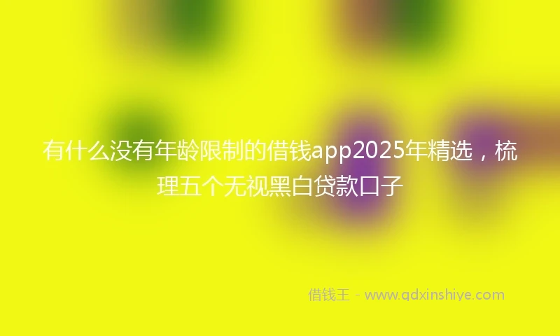 有什么没有年龄限制的借钱app2025年精选，梳理五个无视黑白贷款口子