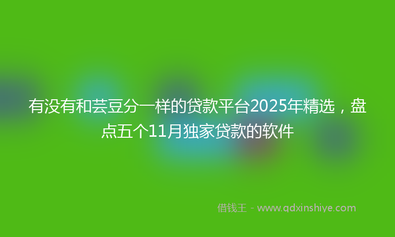 有没有和芸豆分一样的贷款平台2025年精选,盘点五个11月独家贷款的软件