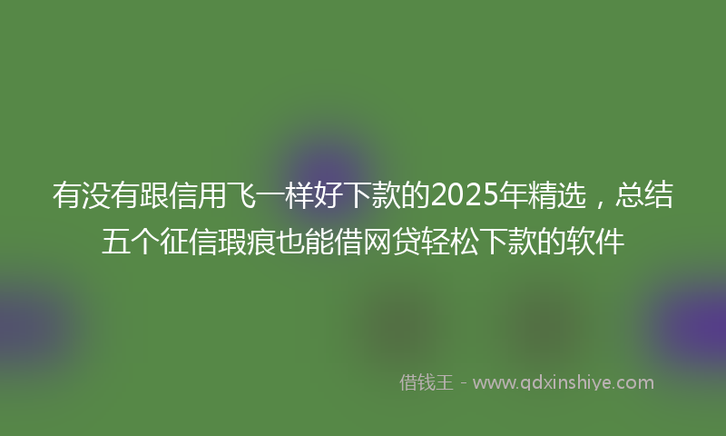 有没有跟信用飞一样好下款的2025年精选，总结五个征信瑕疵也能借网贷轻松下款的软件
