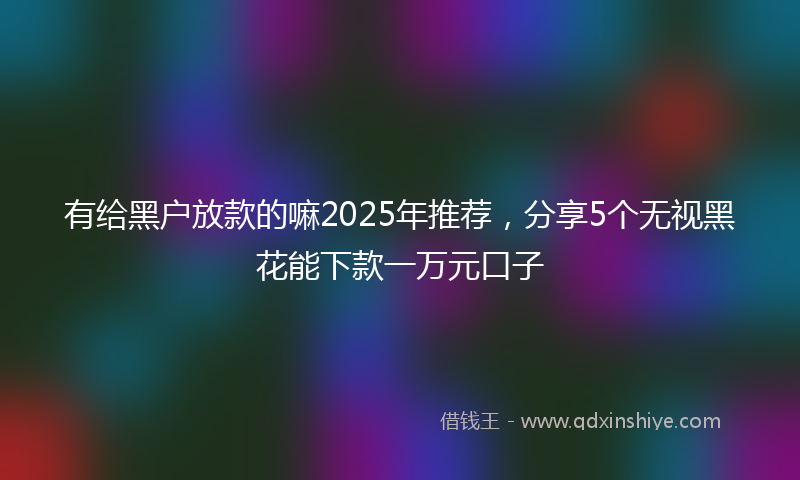有给黑户放款的嘛2025年推荐，分享5个无视黑花能下款一万元口子