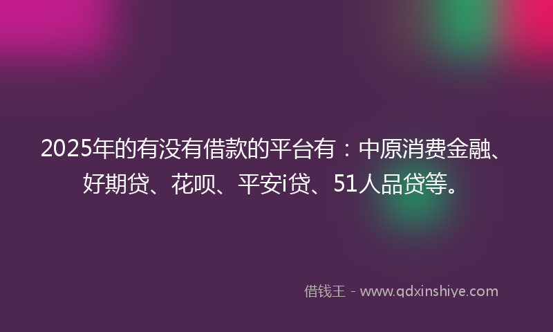 2025年的有没有借款的平台有：中原消费金融、好期贷、花呗、平安i贷、51人品贷等。
