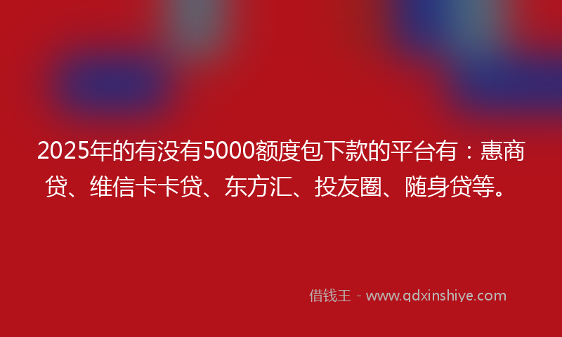 2025年的有没有5000额度包下款的平台有：惠商贷、维信卡卡贷、东方汇、投友圈、随身贷等。