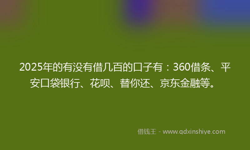 2025年的有没有借几百的口子有：360借条、平安口袋银行、花呗、替你还、京东金融等。