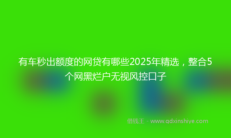 有车秒出额度的网贷有哪些2025年精选，整合5个网黑烂户无视风控口子