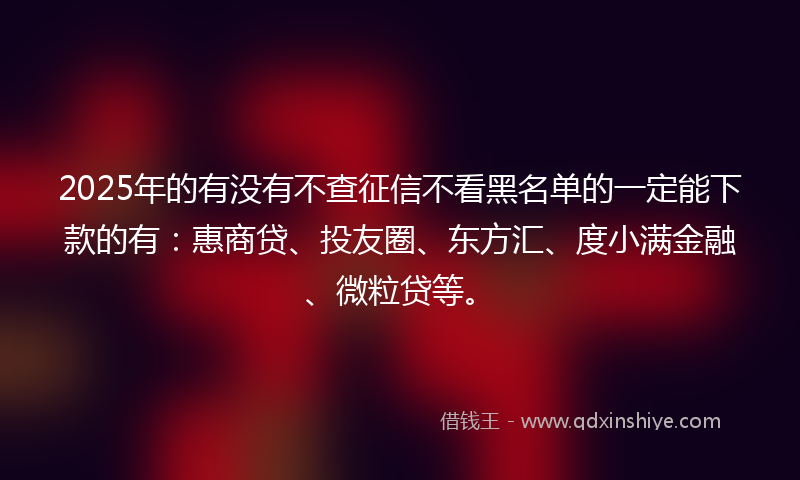 2025年的有没有不查征信不看黑名单的一定能下款的有：惠商贷、投友圈、东方汇、度小满金融、微粒贷等。