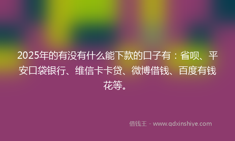 2025年的有没有什么能下款的口子有：省呗、平安口袋银行、维信卡卡贷、微博借钱、百度有钱花等。