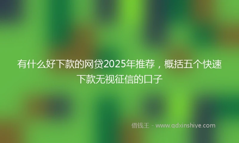 有什么好下款的网贷2025年推荐，概括五个快速下款无视征信的口子