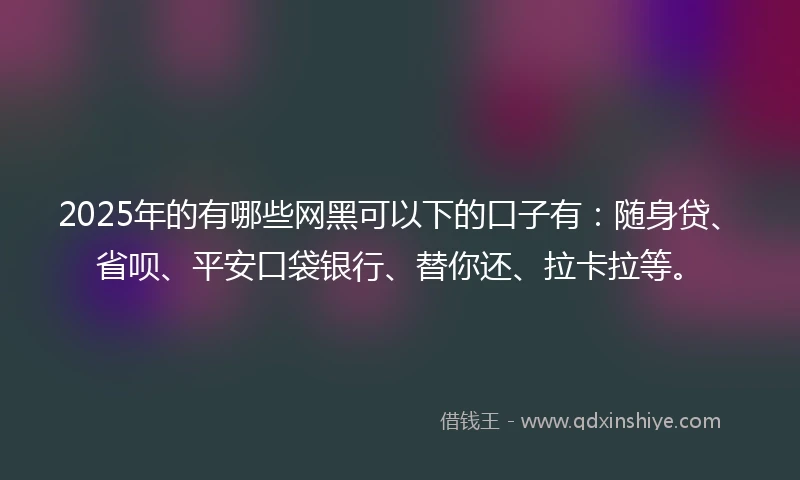 2025年的有哪些网黑可以下的口子有：随身贷、省呗、平安口袋银行、替你还、拉卡拉等。