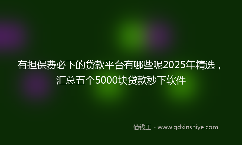 有担保费必下的贷款平台有哪些呢2025年精选，汇总五个5000块贷款秒下软件