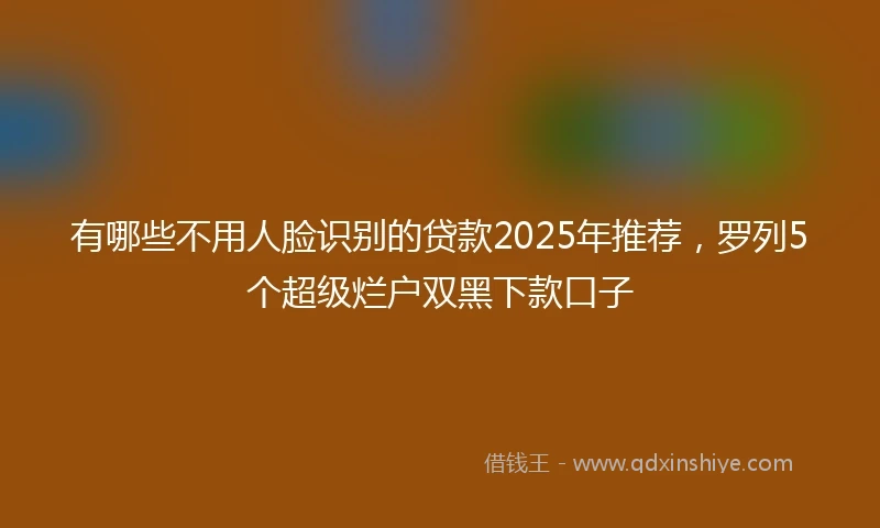 有哪些不用人脸识别的贷款2025年推荐，罗列5个超级烂户双黑下款口子